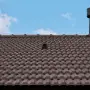 Wat is een Wandkap? Gebruik en Kenmerken